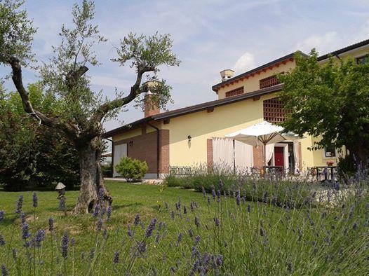Agriturismo Anna Caterina Castelnuovo del Garda Exterior photo