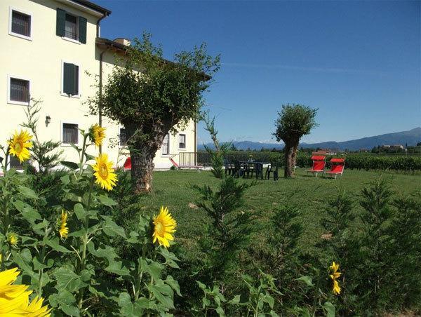 Agriturismo Anna Caterina Castelnuovo del Garda Exterior photo